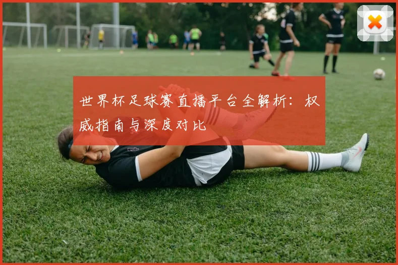 世界杯足球赛直播平台全解析：权威指南与深度对比