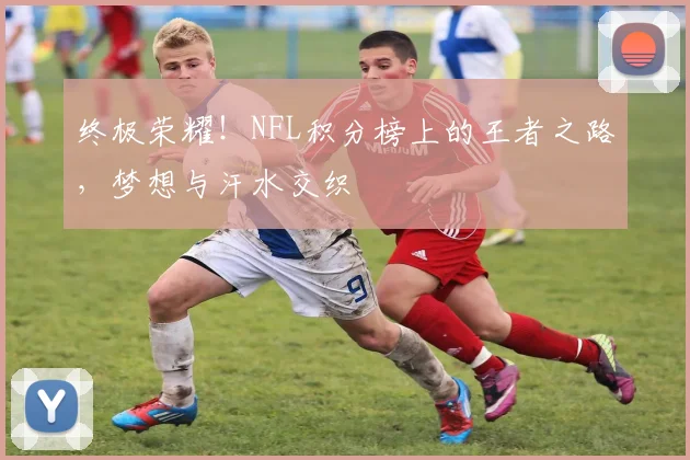 终极荣耀！NFL积分榜上的王者之路，梦想与汗水交织