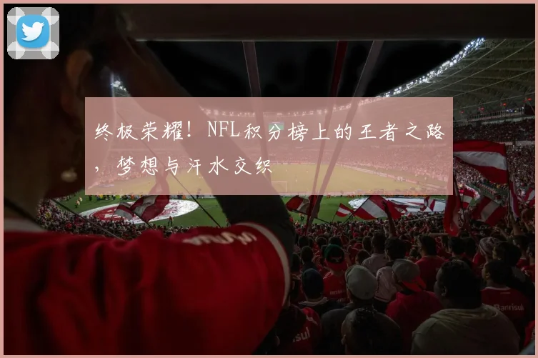 终极荣耀！NFL积分榜上的王者之路，梦想与汗水交织